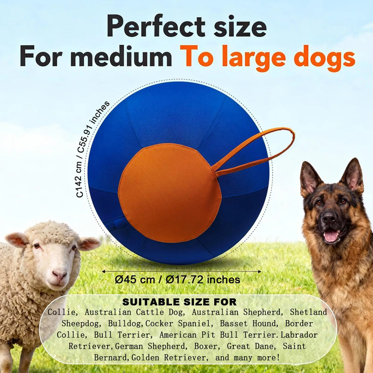 Interactive Large Dog Ball with Wrist Strap
