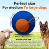 Interactive Large Dog Ball with Wrist Strap