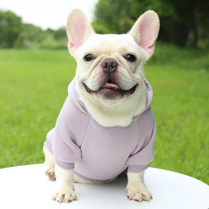 Suéter con Capucha Acogedor para Perros Pequeños