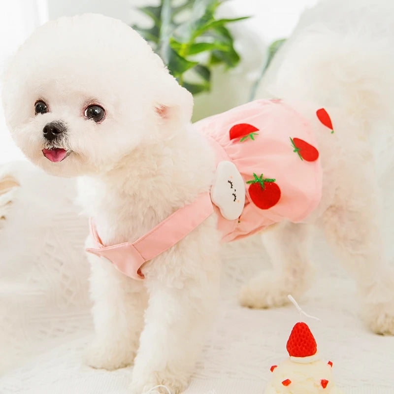 Princess Mesh Dog Dress with Bow Lace Trim