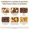 Gravity-Fed Pet Food and Water Station