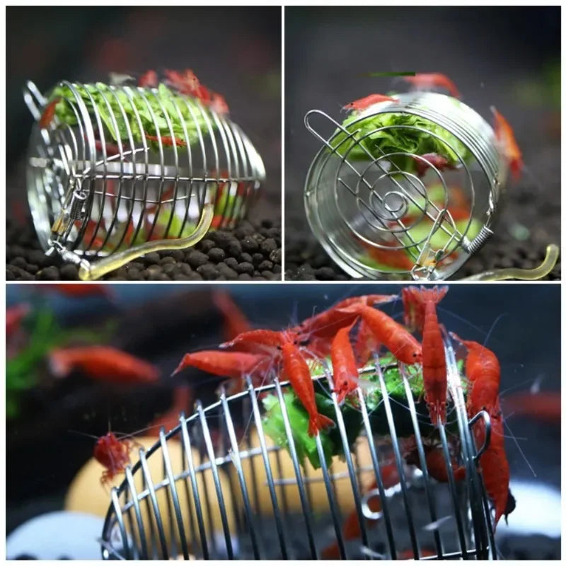 Assiette en acier inoxydable à fil pour les crevettes rouges vives à nourrir