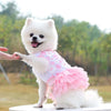 Un chien blanc portant une robe en mousseline de dentelle florale rose, à l'extérieur.
