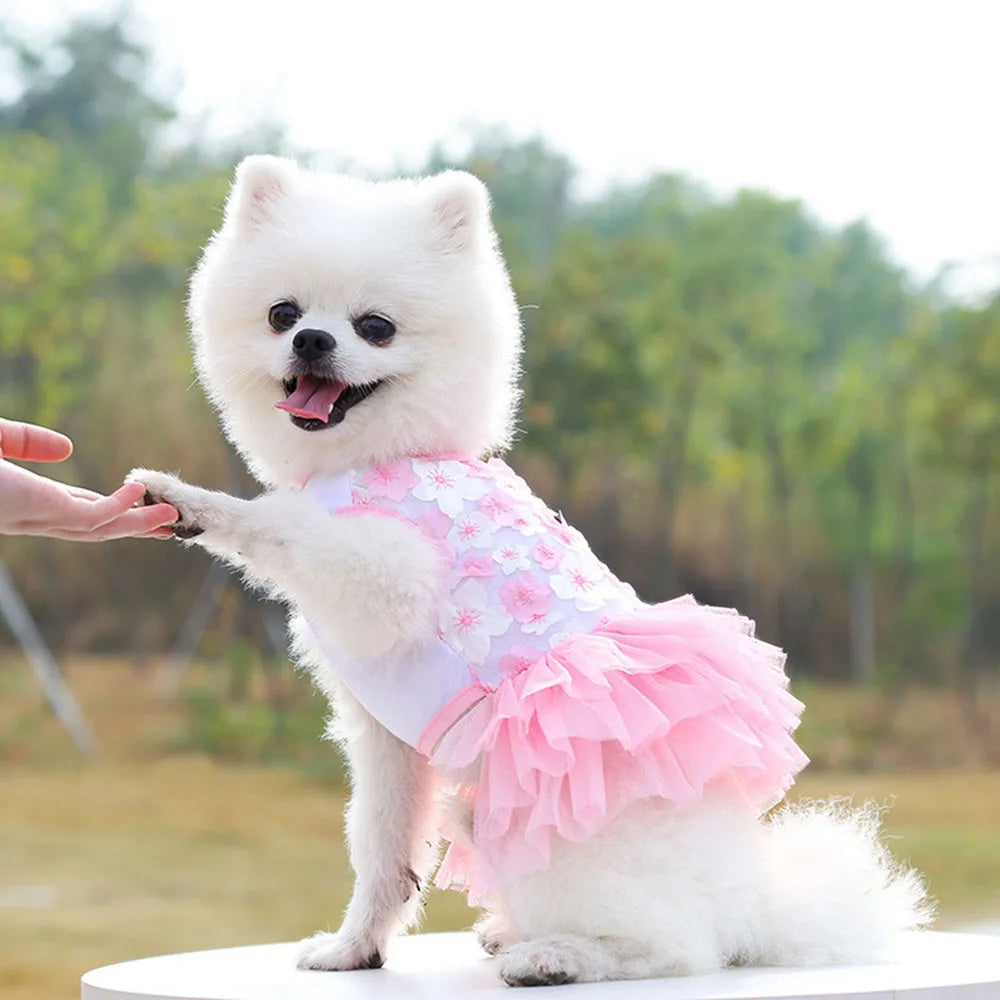 Un chien blanc portant une robe en mousseline de dentelle florale rose, à l'extérieur.