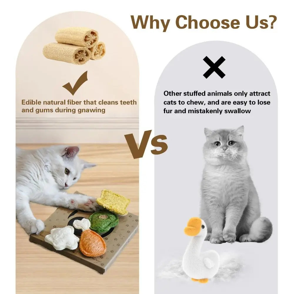 A comparison showing an edible natural fiber cat chew toy versus other stuffed animals.