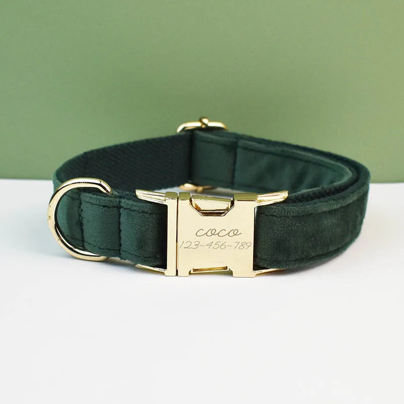 Set de collar, correa y arnés de perro de terciopelo verde oscuro con herrajes dorados.
