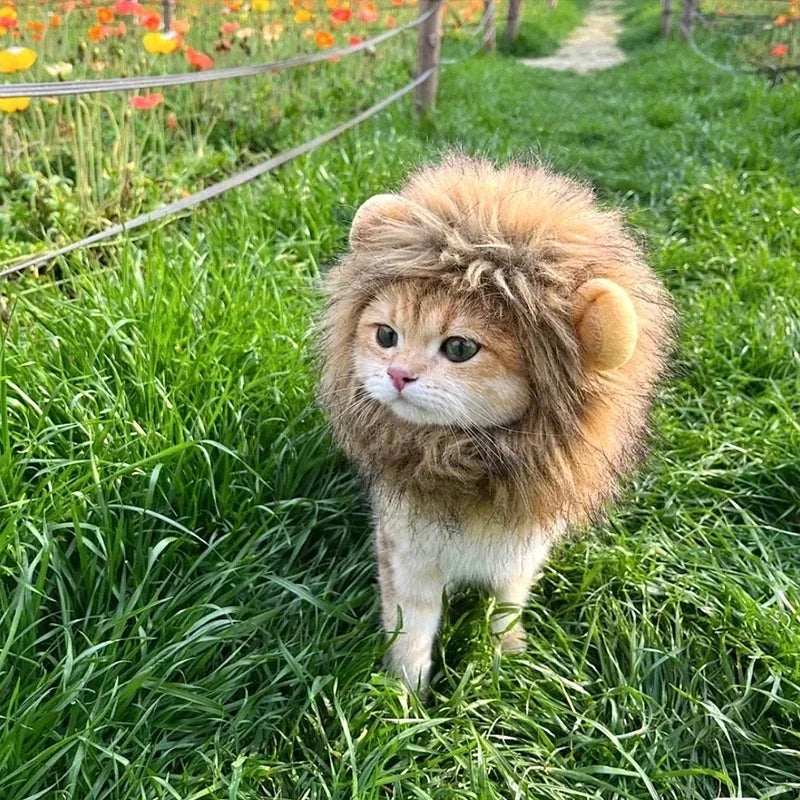 Sombrero de Melena de León para Mascotas