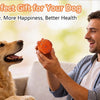 Interactive Automatic Rolling Dog Ball with Motion Activation