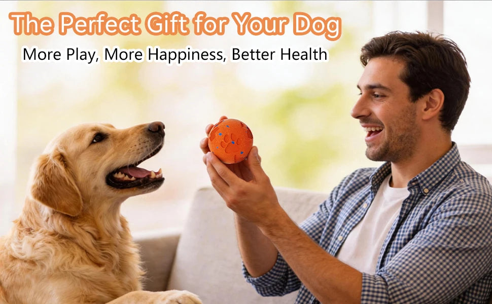 Interactive Automatic Rolling Dog Ball with Motion Activation