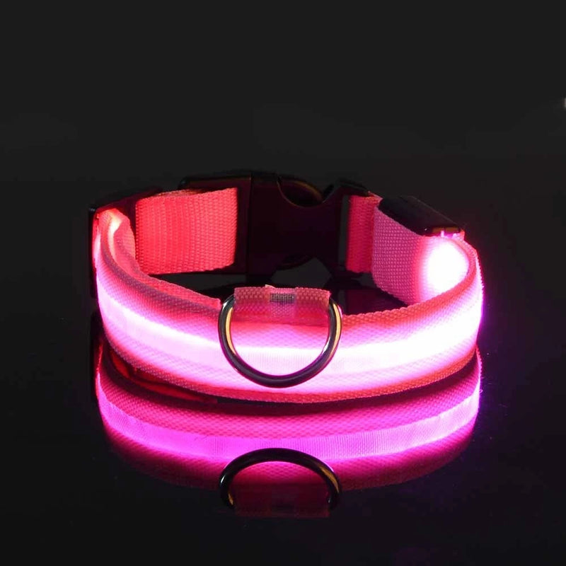LED-Sicherheits-Hundeleine und Halsband-Set
