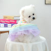 A fluffy white dog wearing an elegant birthday suit with colorful tulle fabric