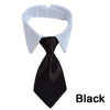 Black adjustable pet bow tie collar for dogs and cats