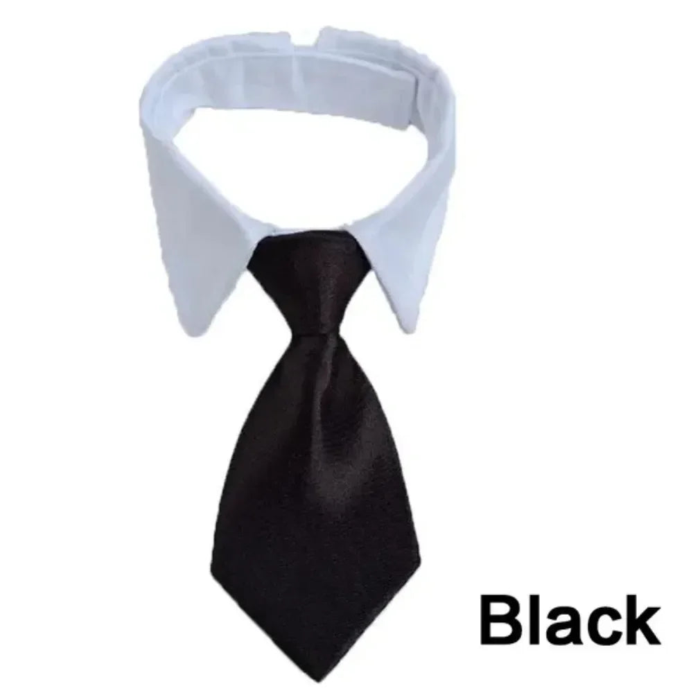 Black adjustable pet bow tie collar for dogs and cats