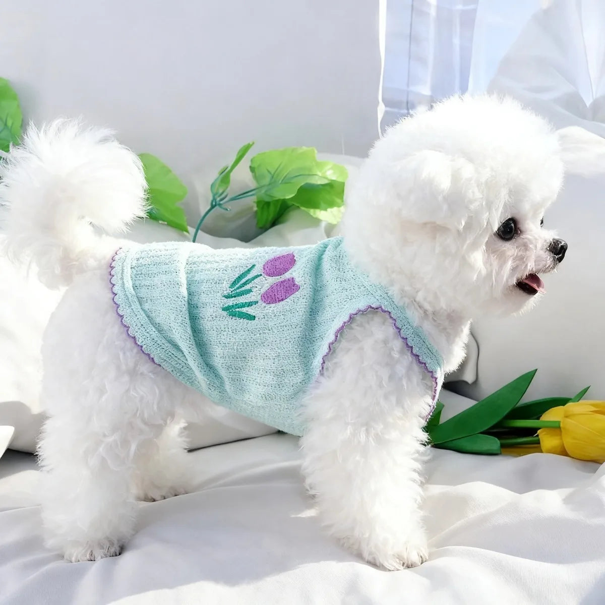 A fluffy white dog wearing a light blue floral embroidered summer pet vest, lying on a white surface.