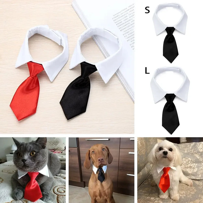 Corbata y Pajarita Formal para Mascotas