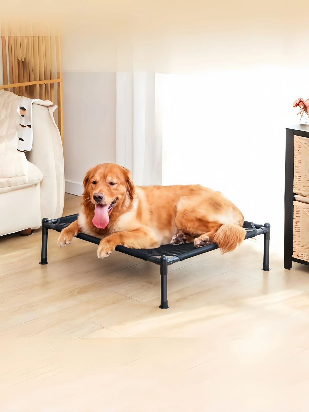 Foldable Elevated Pet Bed with Removable Washable Cover