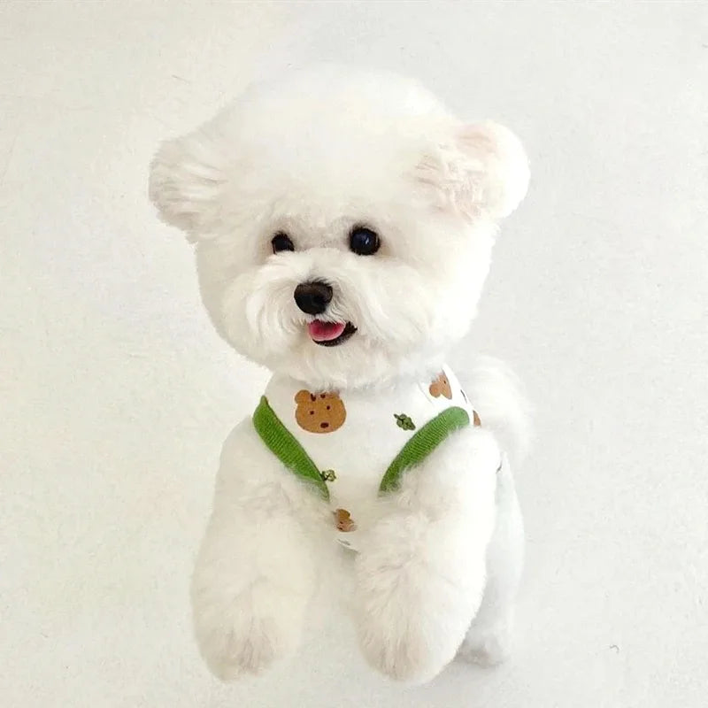 A fluffy white dog wearing a lightweight summer vest with a cute bear print.