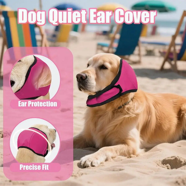 A golden retriever wearing a pink dog quiet ear cover on a sandy beach.