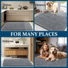 Absorbent Microfiber Dog Doormat
