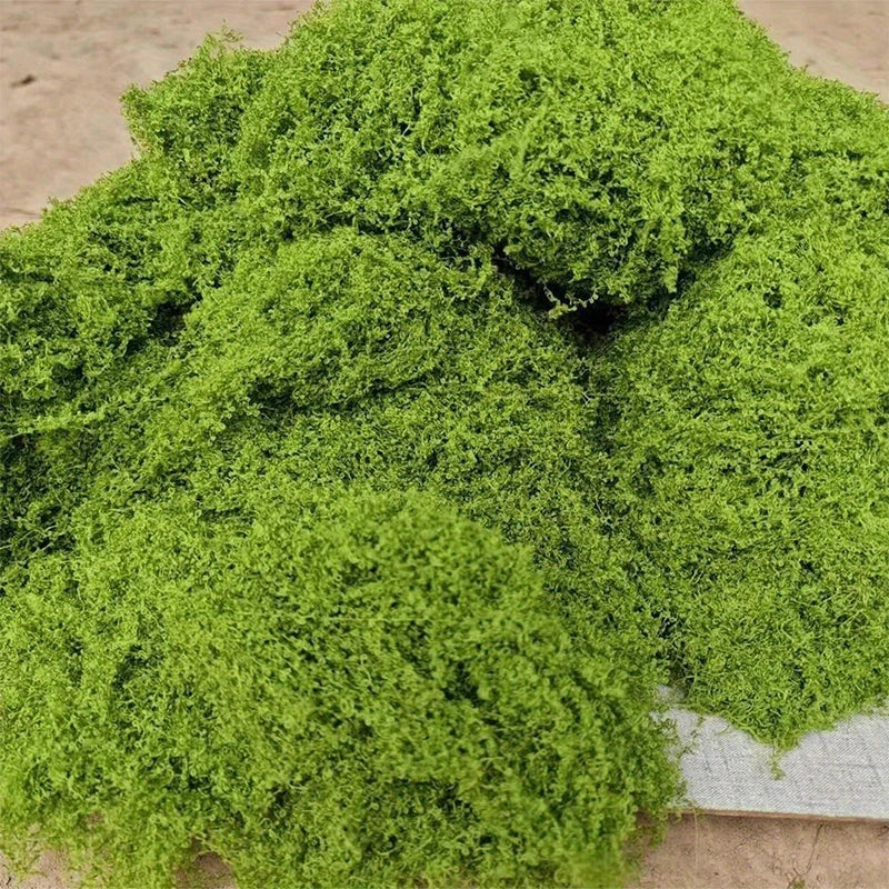 Natural Green Preserved Moss for DIY Crafts and Decor
