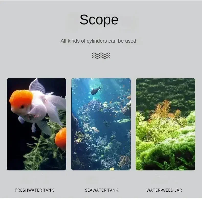 Thermomètre Digital LCD pour Aquarium