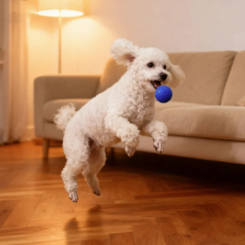 Robuster Texturierter Gummiball zum Kauen für Hunde