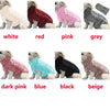 Classic Knitted Turtleneck Sweater for Small Dogs and Cats