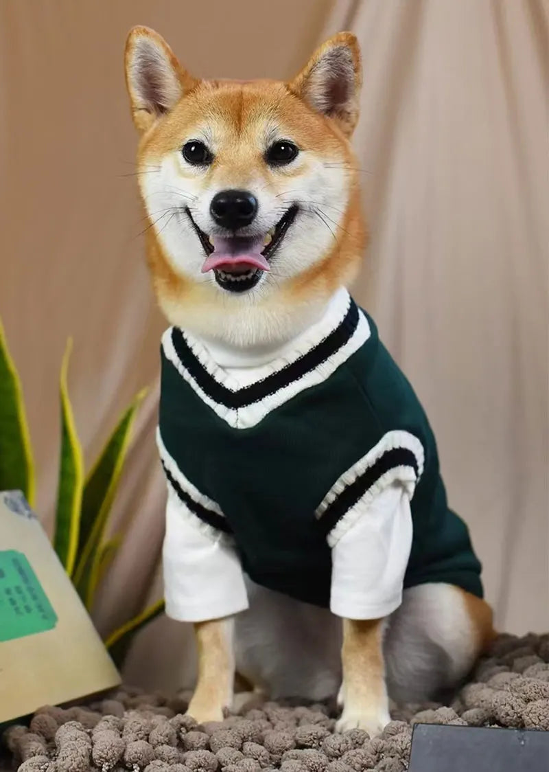 Classic V-Neck Knit Pet Sweater for Small Dogs & Cats