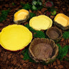 Natural Tree Stump Reptile Feeding and Water Bowl