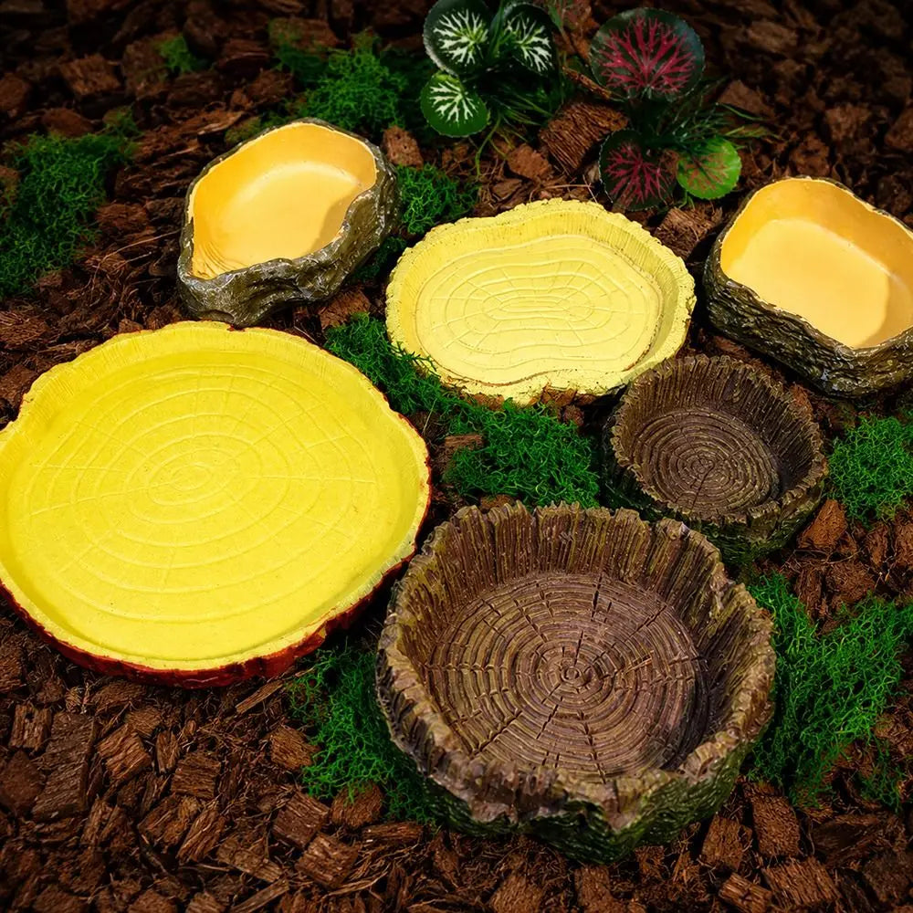 Natural Tree Stump Reptile Feeding and Water Bowl