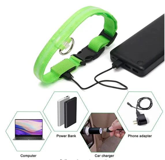 USB Charging Glowing Dog Collar with Pendant