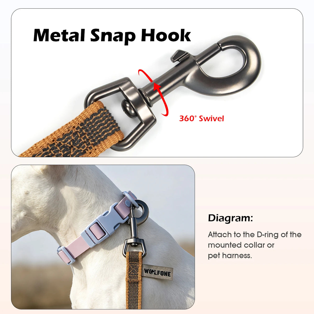 A metal snap hook is shown next to a dog wearing a harness, demonstrating how to attach the leash.