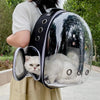 A transparent pet backpack is being carried by a person, with a white cat visible inside.
