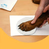 A hand is pressing a paw print into a white disc on paper, demonstrating the creation of a pet memory keepsake.