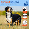 Verstellbare Hundetrainingshalsband aus Edelstahl