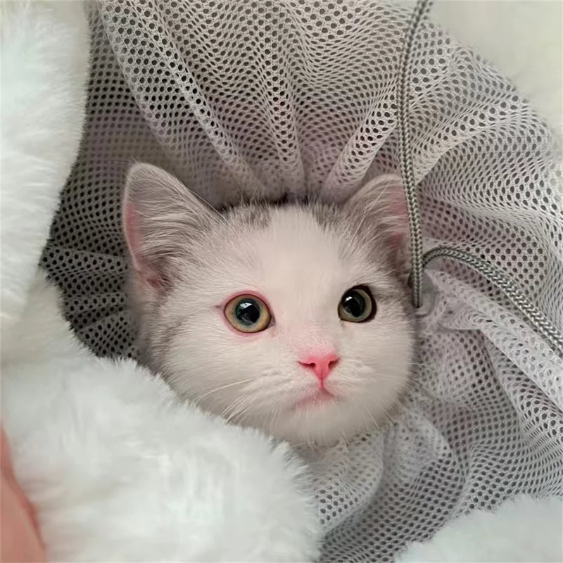 حقيبة ظهر ناقلة للكلاب الصغيرة وتدفئة سفر شتوية