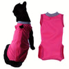 Adjustable Cat Recovery Suit for Post-Surgery Protection