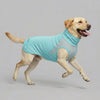 A light blue dog cooling vest with gray accents is shown in motion.
