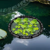A black ring floats on dark water, containing green aquatic plants.