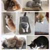 Rascador de Cartón Corrugado Doble Cara para Gatos