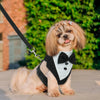 Dog Tuxedo with Bowtie for Weddings and Special Occasions