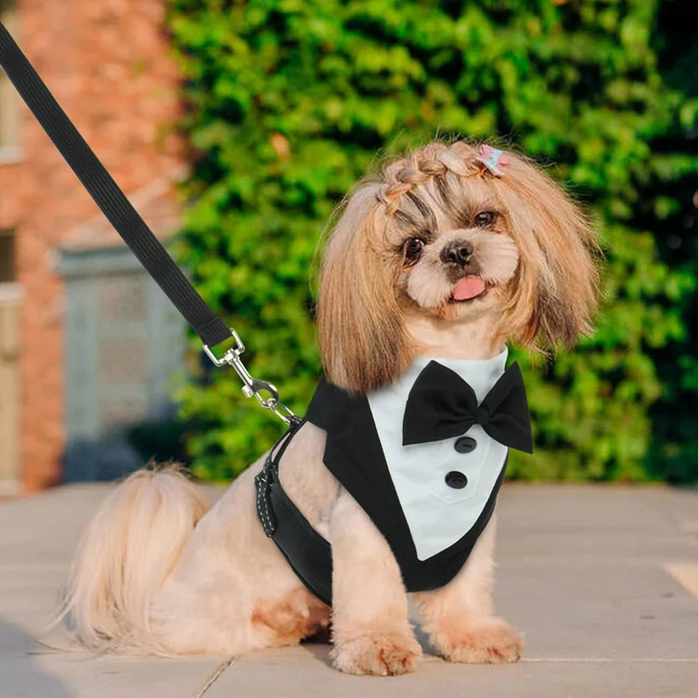 Dog Tuxedo with Bowtie for Weddings and Special Occasions