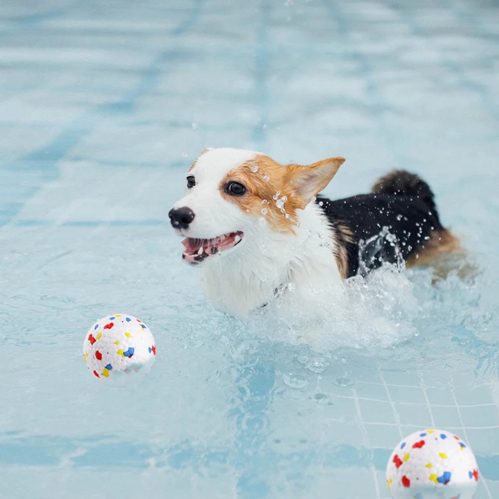 A small dog is playing in water with a colorful dog ball.