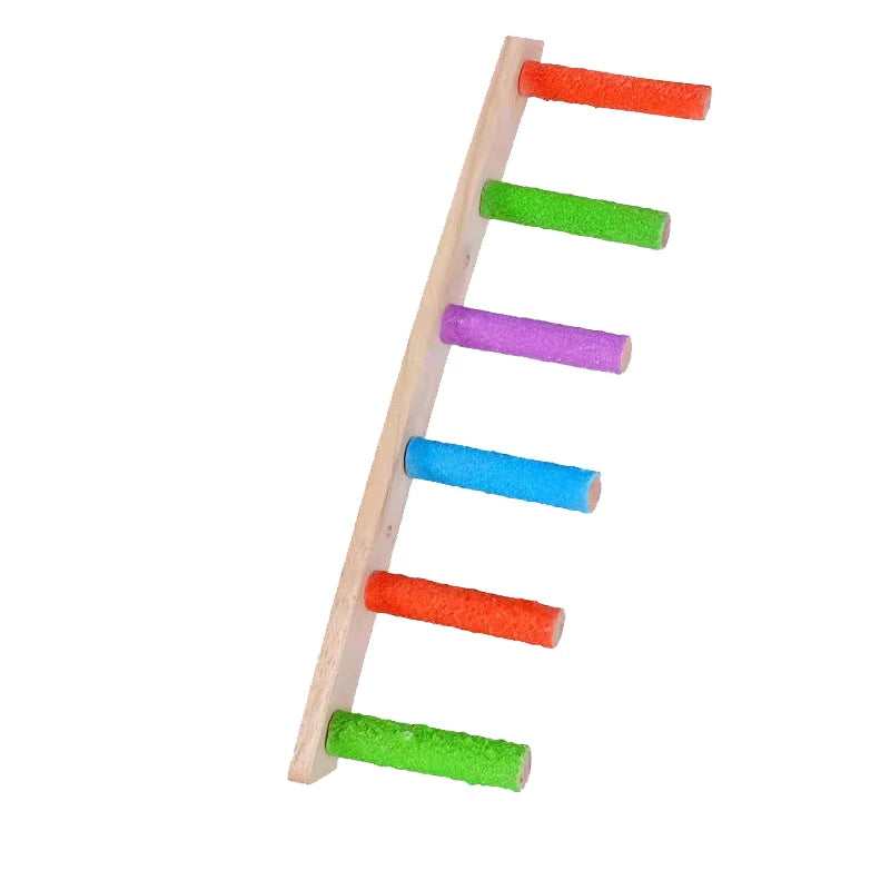 Wooden bird climbing ladder with five colored plastic rungs: orange, green, purple, blue, and green.