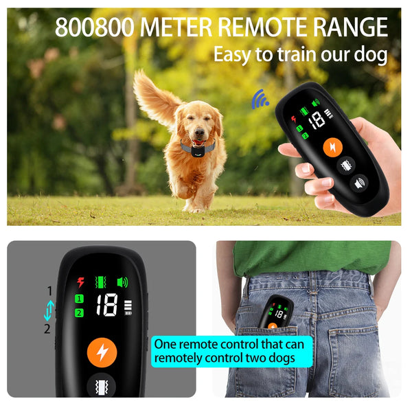 A black remote control is shown next to a dog wearing a training collar, demonstrating its 8000 meter remote range for dog tr