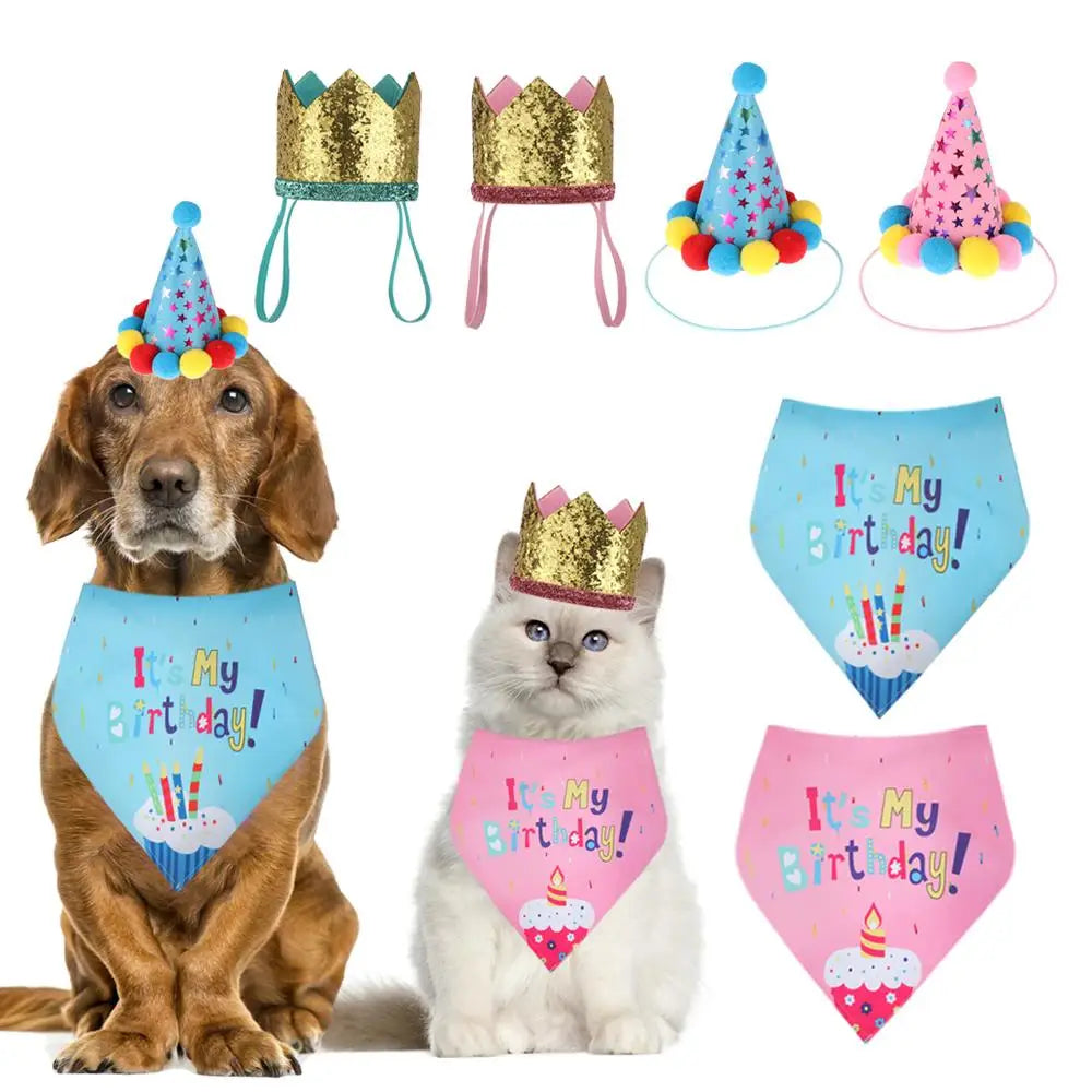 A dog and a cat wearing sequin crown headwear and bibs for a birthday party
