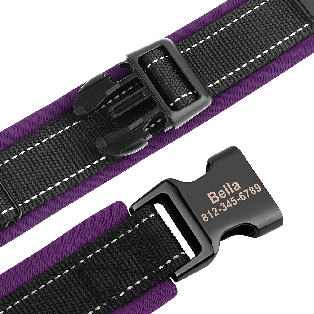 A close-up view of a black nylon dog collar with a silver buckle and purple strap.