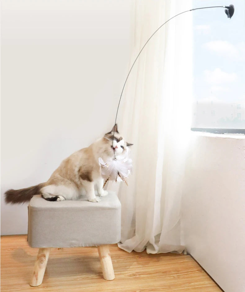 Jouet Interactif pour Chat avec Plumes et Baguette
