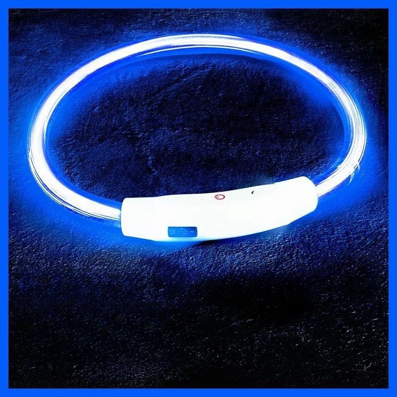 USB-aufladbarer LED-Hundehalsband