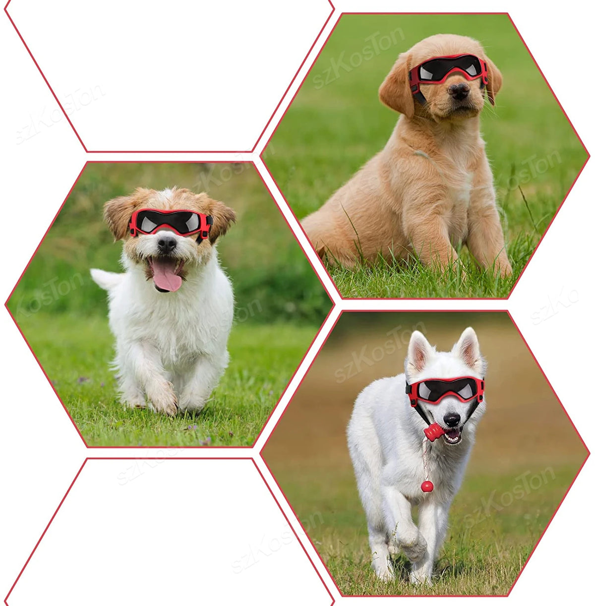 Adjustable UV Protection Dog Goggles for Small & Medium Breeds